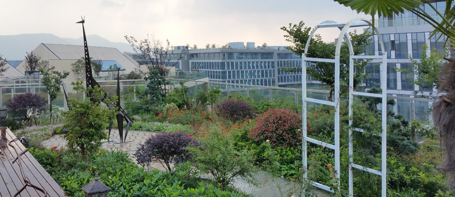 南京萬(wàn)通城市建設(shè)設(shè)計(jì)院弱電系統(tǒng)項(xiàng)目案例。